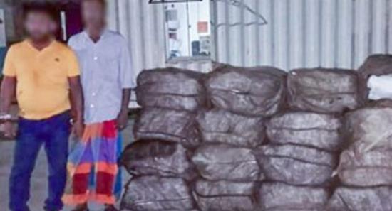 Over Rs. 202 MN Worth of Kerala Cannabis Seized